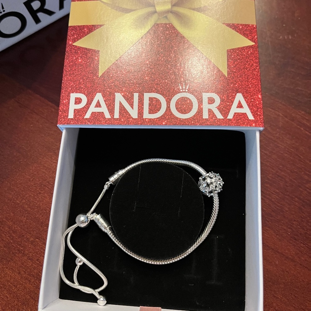 Pandora Bracelet